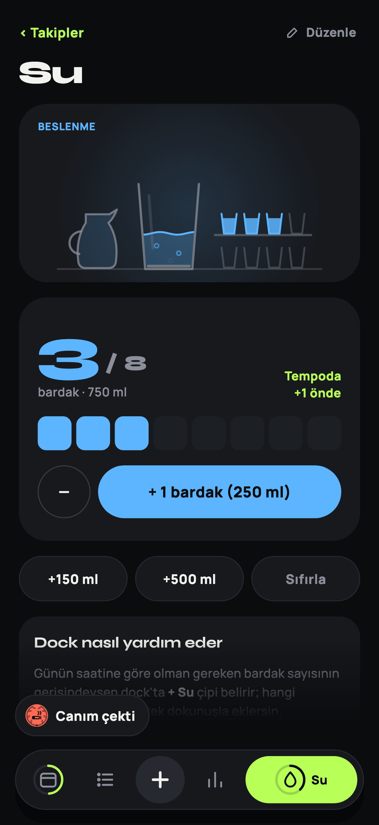Devam “Su” (water) screen: a 3/8 glass counter, the “Tempoda +1 önde” (one glass ahead of pace) indicator and quick-add buttons.