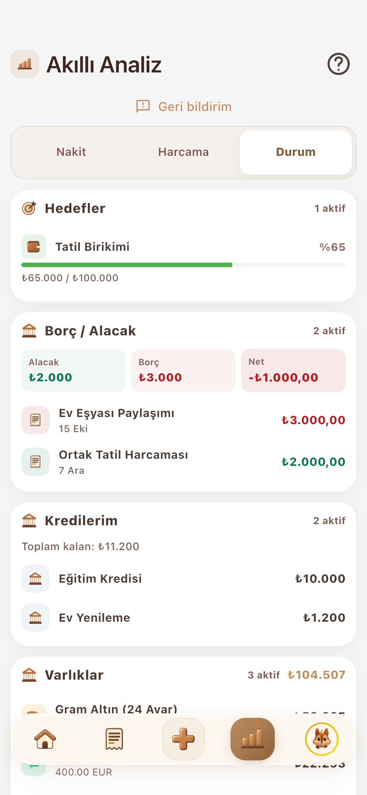 Fındık Akıllı Analiz, Durum sekmesi: hedefler, borç ve alacak ile krediler özeti